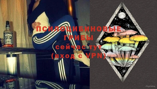 прущий лед Белокуриха